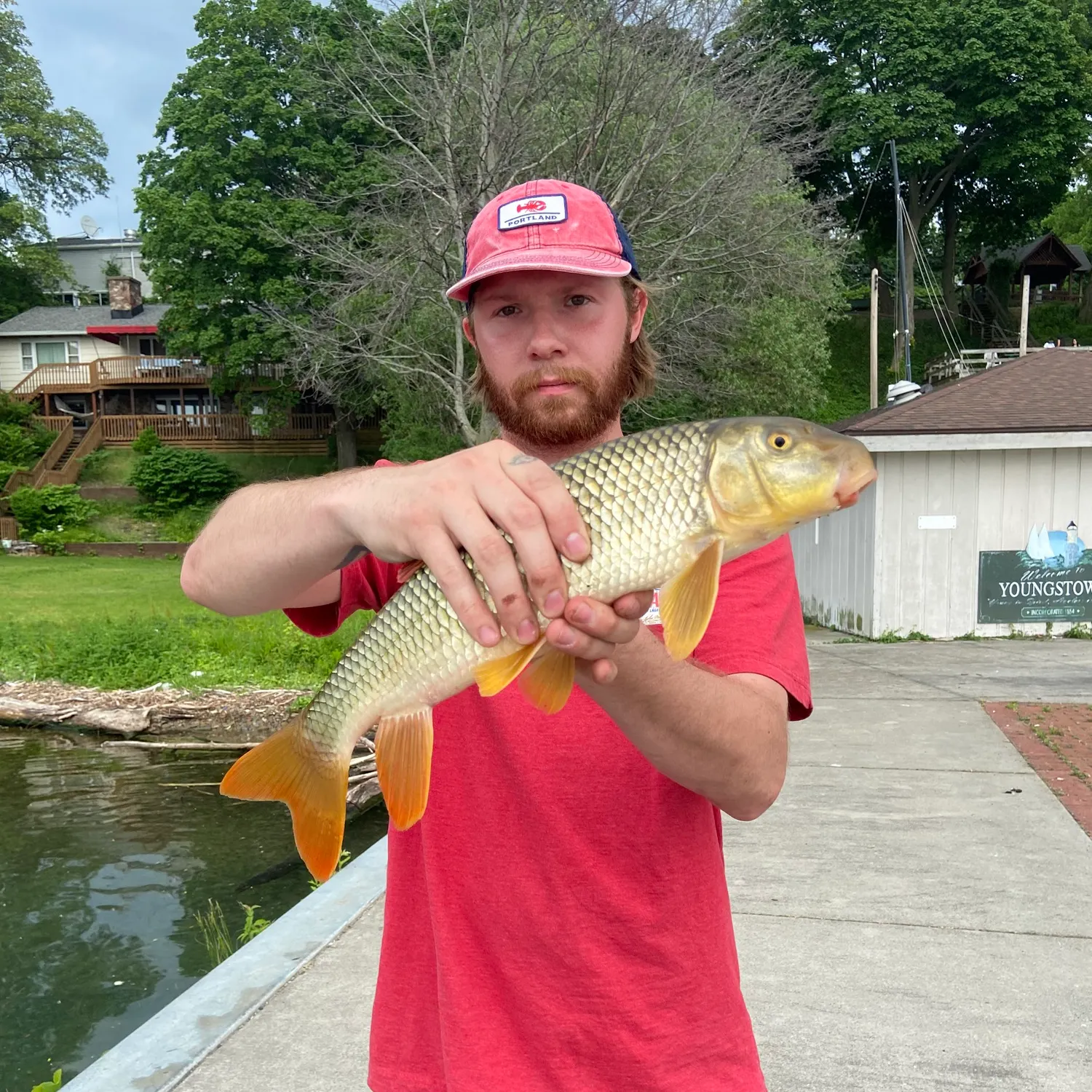 The most recent Silver redhorse catches on Fishbrain
