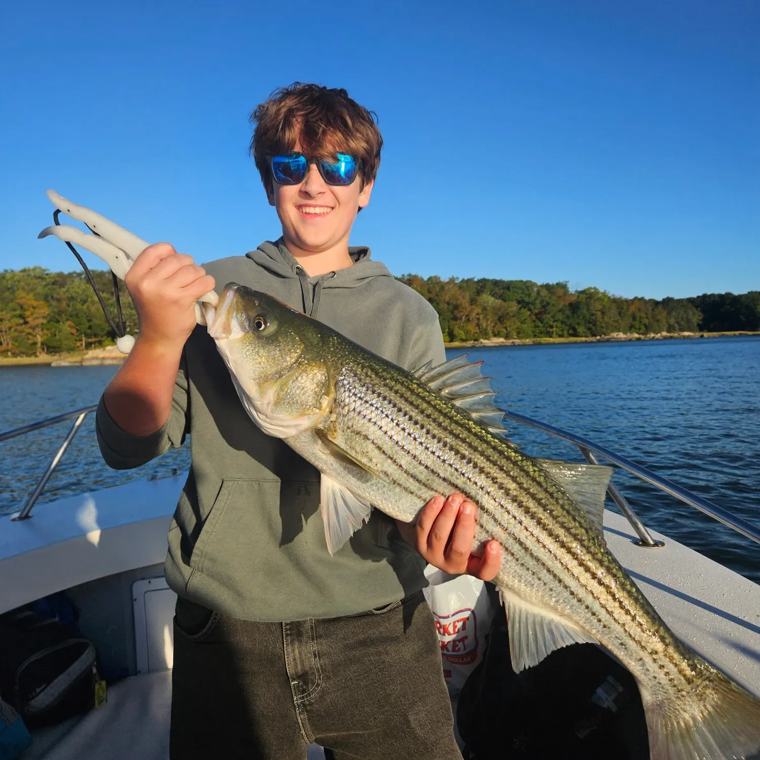 Striped bass caught on Fishbrain