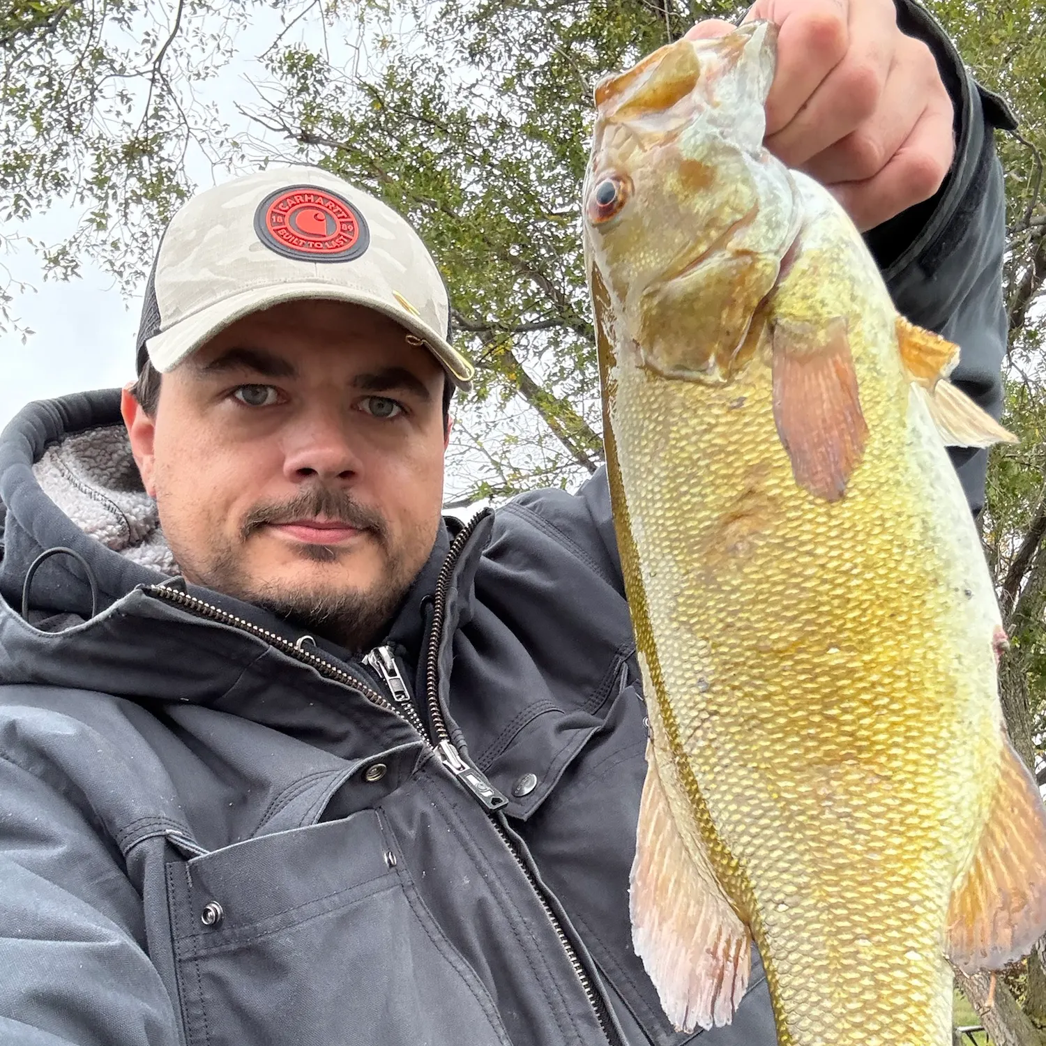 Smallmouth bass caught on Fishbrain