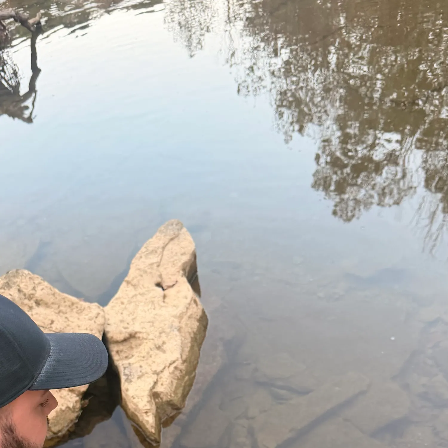 Rainbow trout caught on Fishbrain