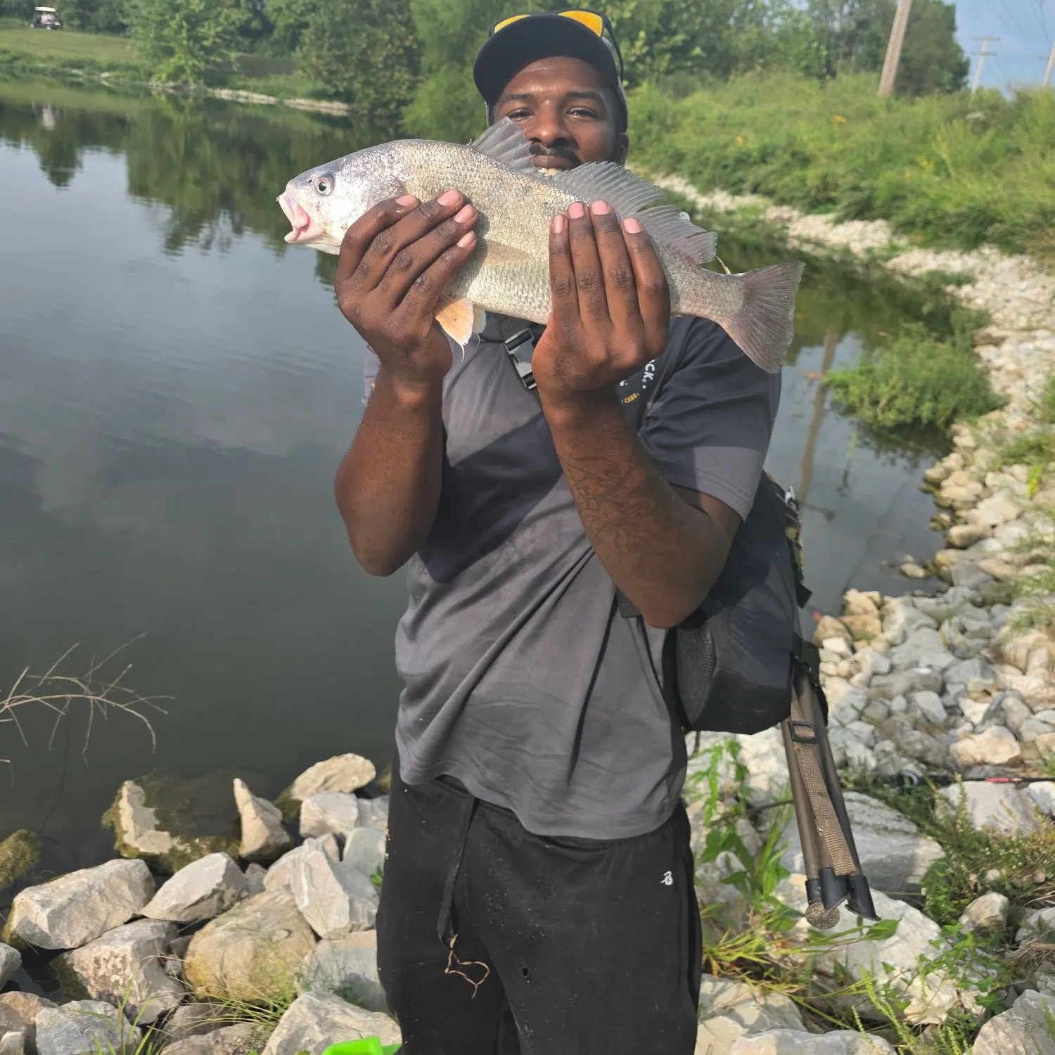 Freshwater drum caught on Fishbrain