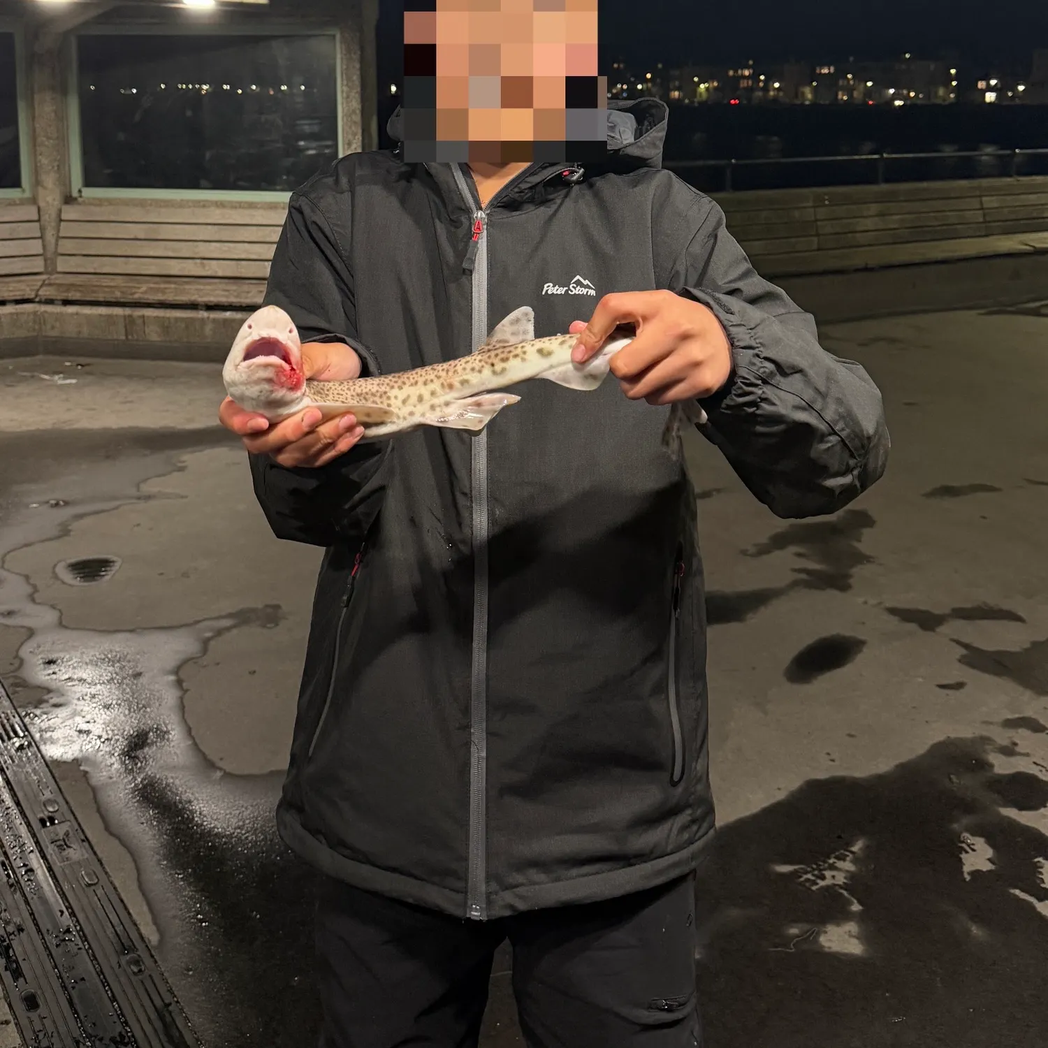The most recent Piked dogfish catches on Fishbrain