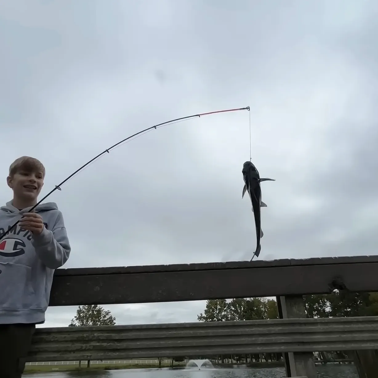 Channel catfish caught on Fishbrain