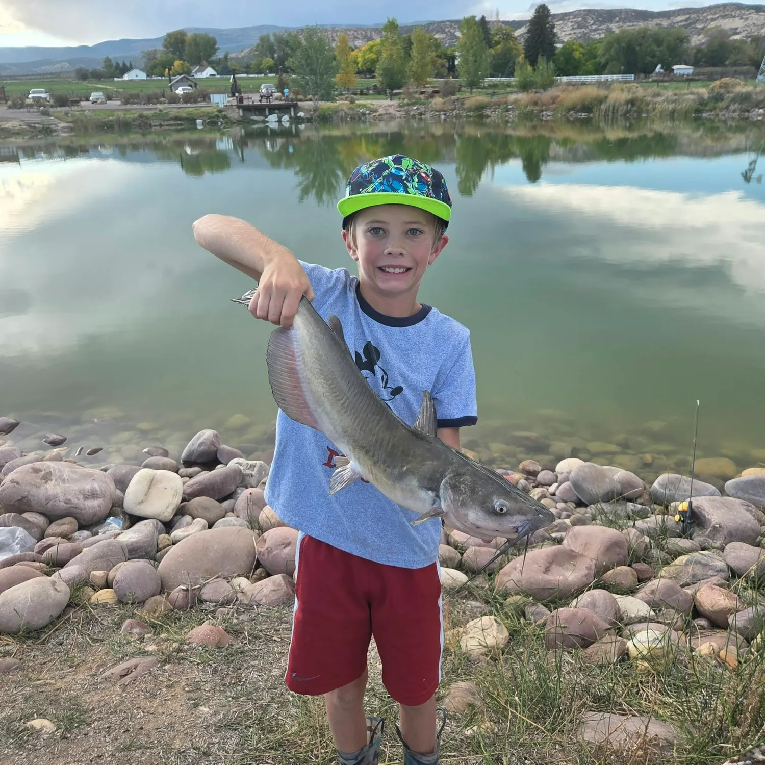 Channel catfish caught on Fishbrain