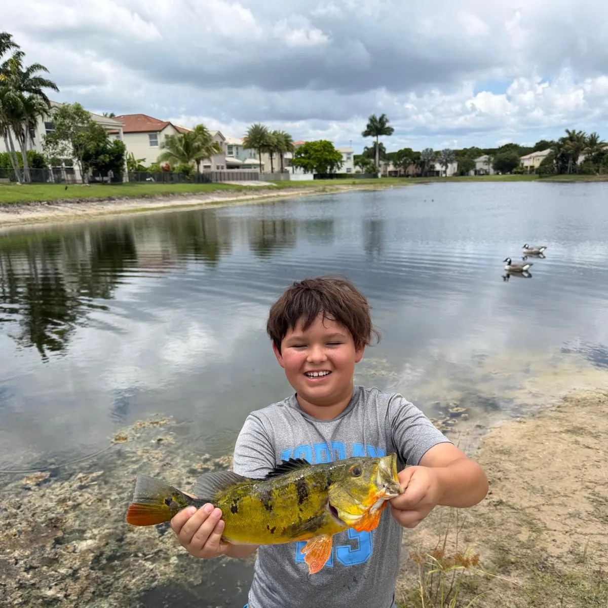 Butterfly peacock bass caught on Fishbrain