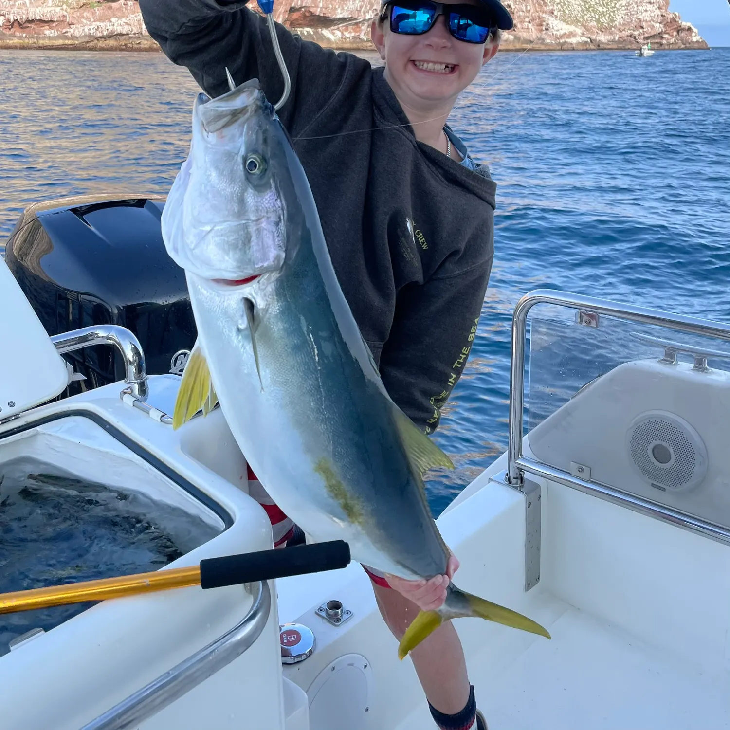 The most popular recent Japanese amberjack catch on Fishbrain