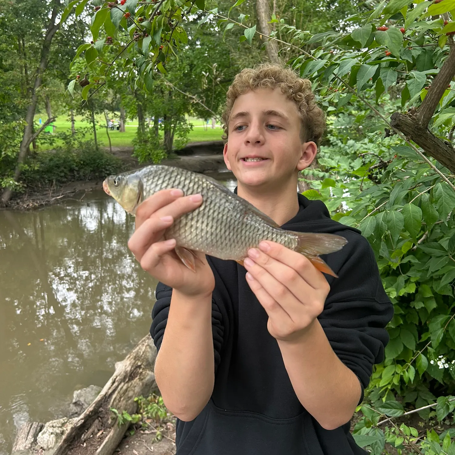 Common carp caught on Fishbrain