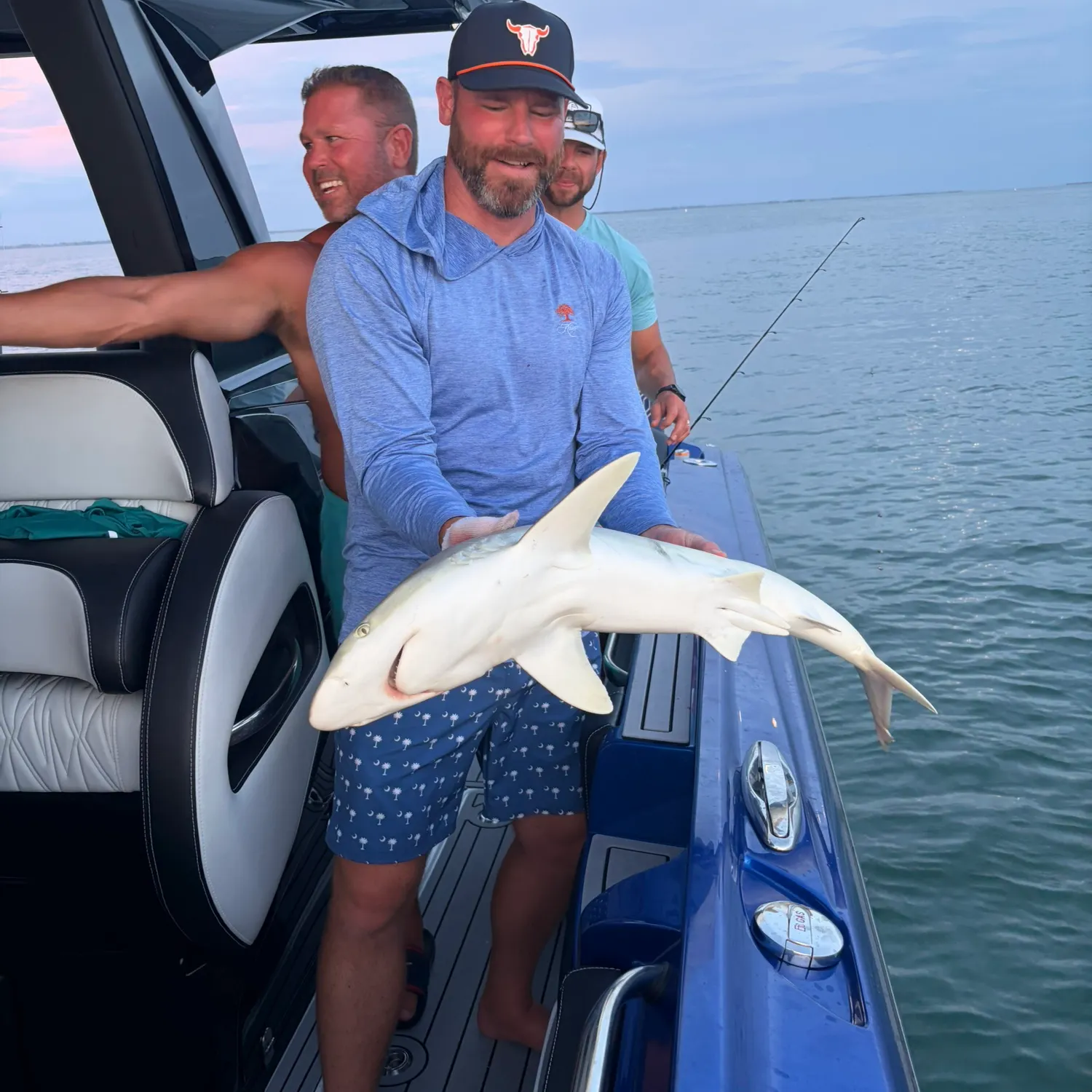 The most recent Sandbar shark catches on Fishbrain