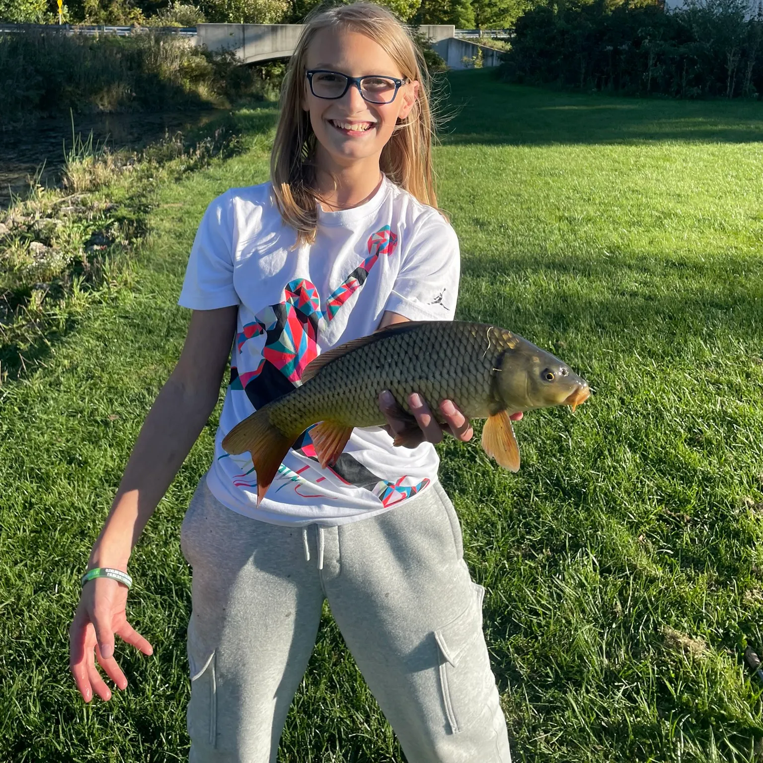 Common carp caught on Fishbrain