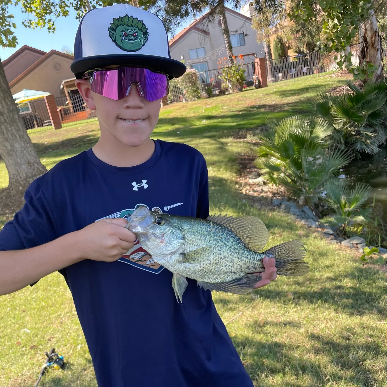 Black crappie caught on Fishbrain