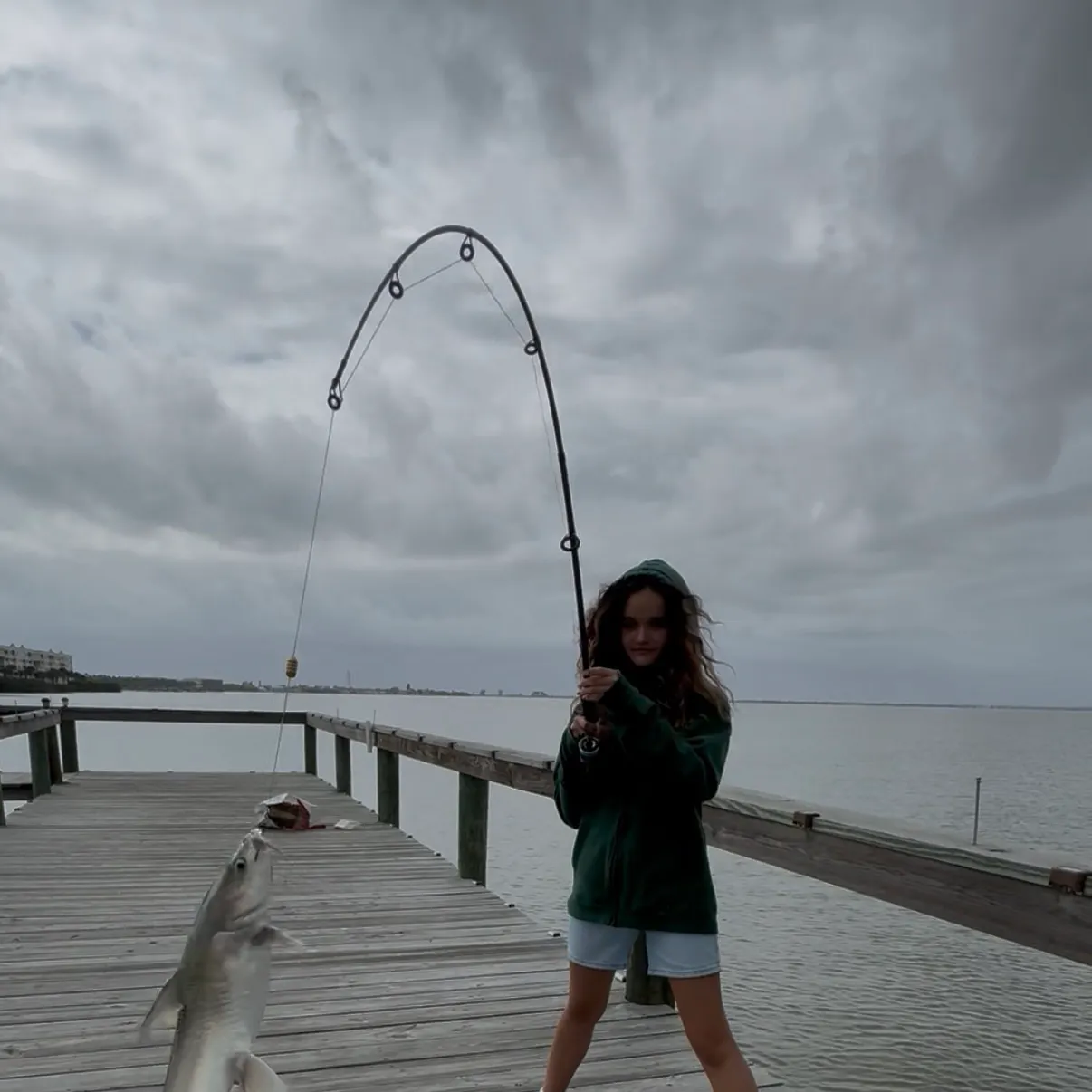 The most recent Gafftopsail sea catfish catches on Fishbrain