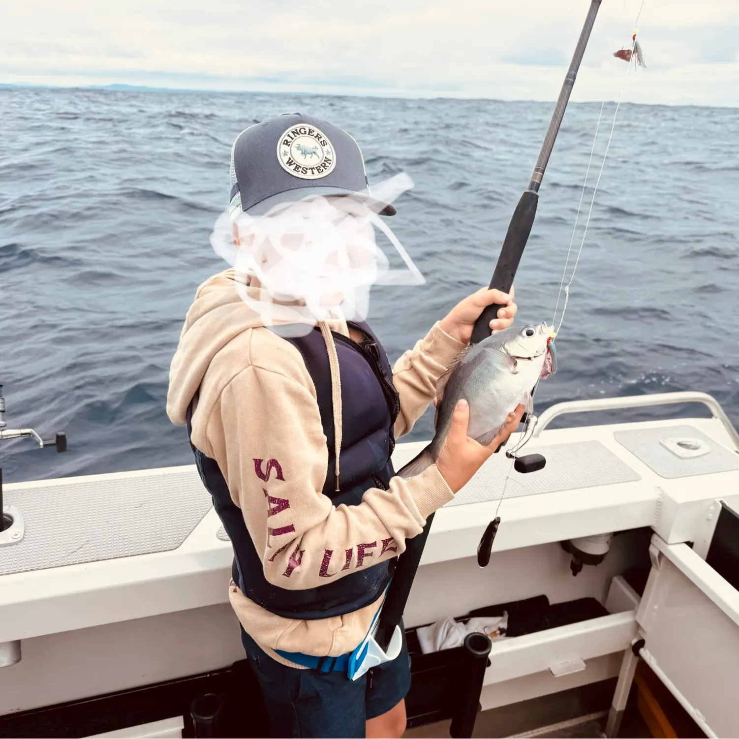 The most recent Luderick catches on Fishbrain