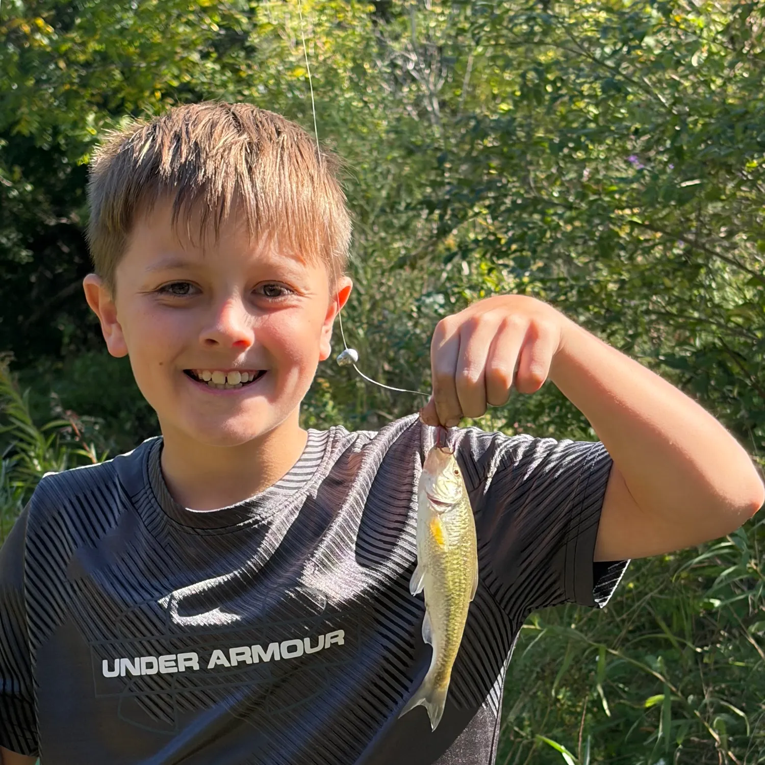 Hornyhead chub caught on Fishbrain
