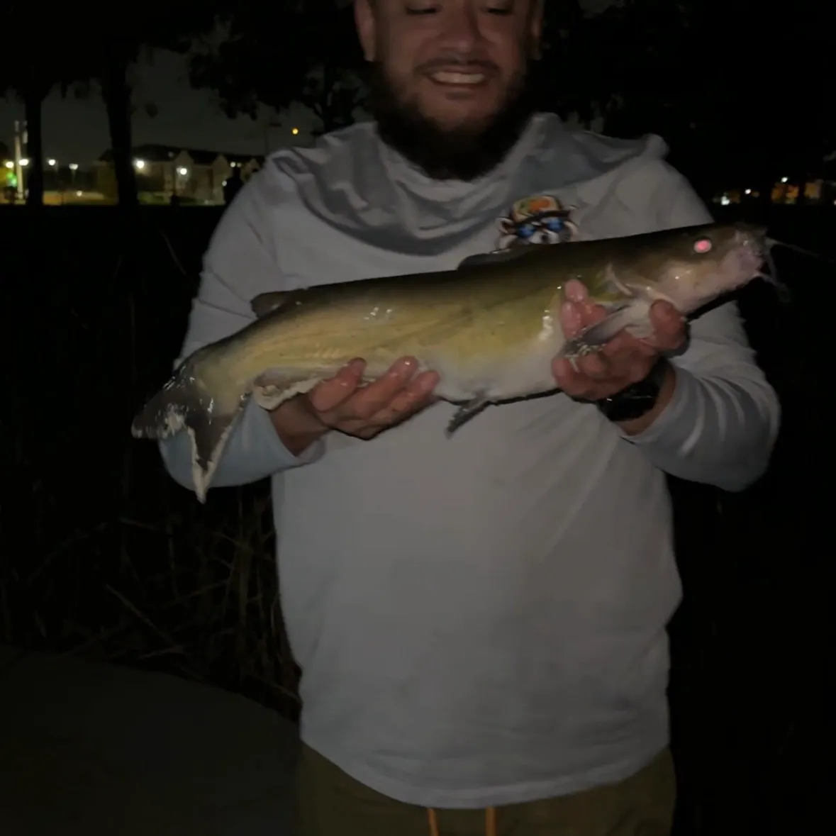 Channel catfish caught on Fishbrain