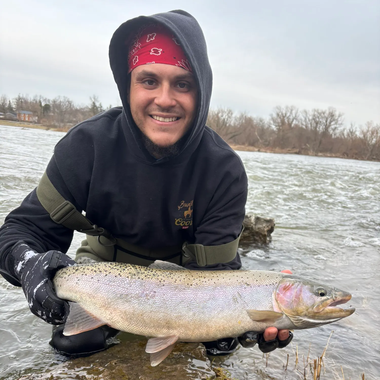 The most recent Steelhead catches on Fishbrain