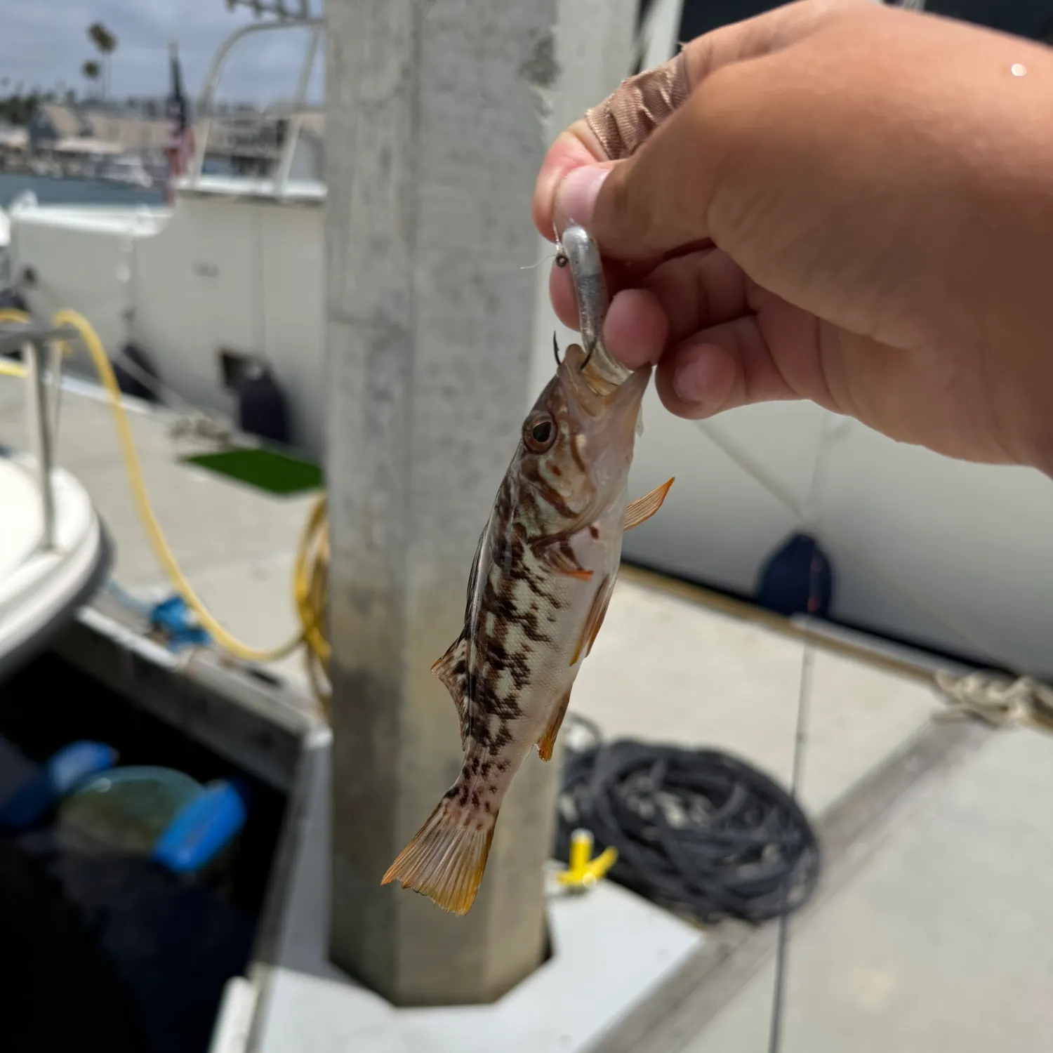 catch