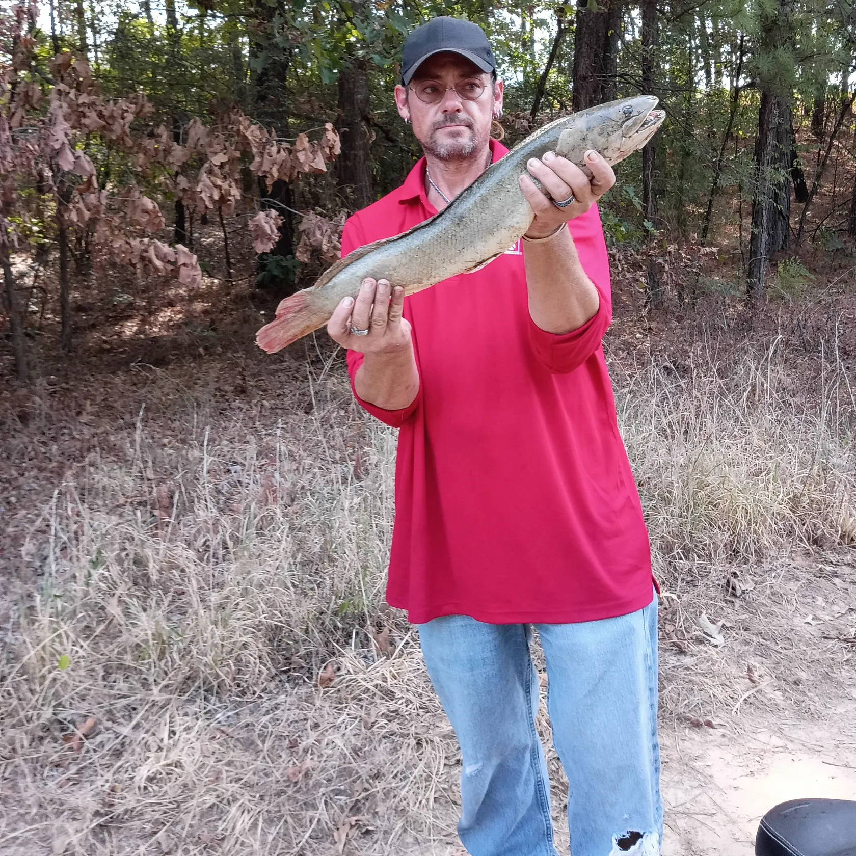 Bullseye snakehead caught on Fishbrain