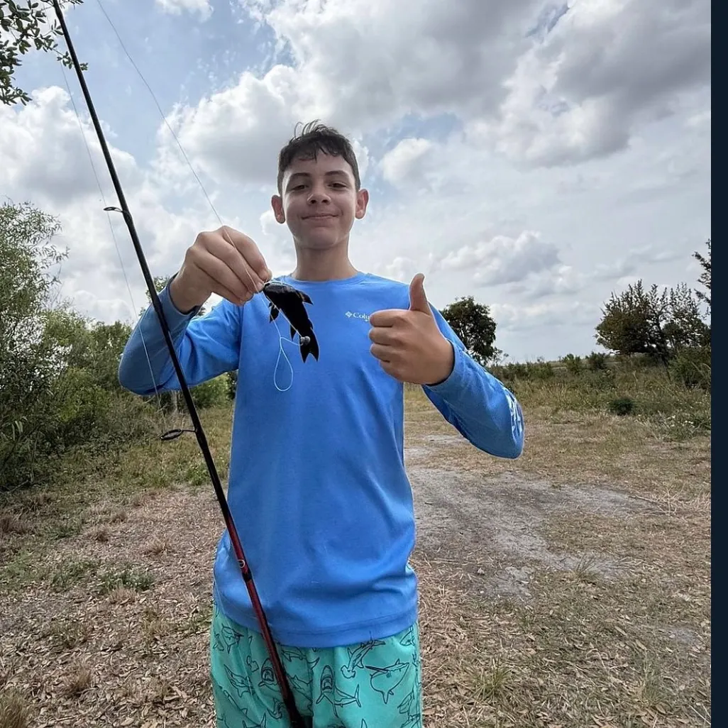 The most recent Brown Hoplo catches on Fishbrain