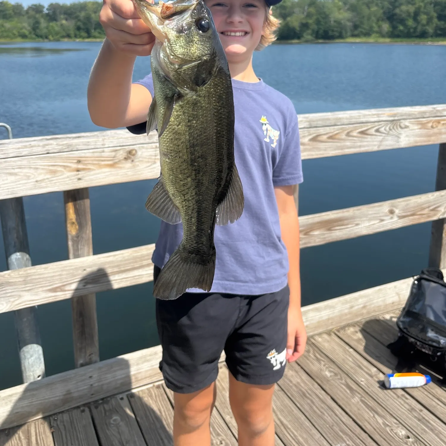 Largemouth bass caught on Fishbrain