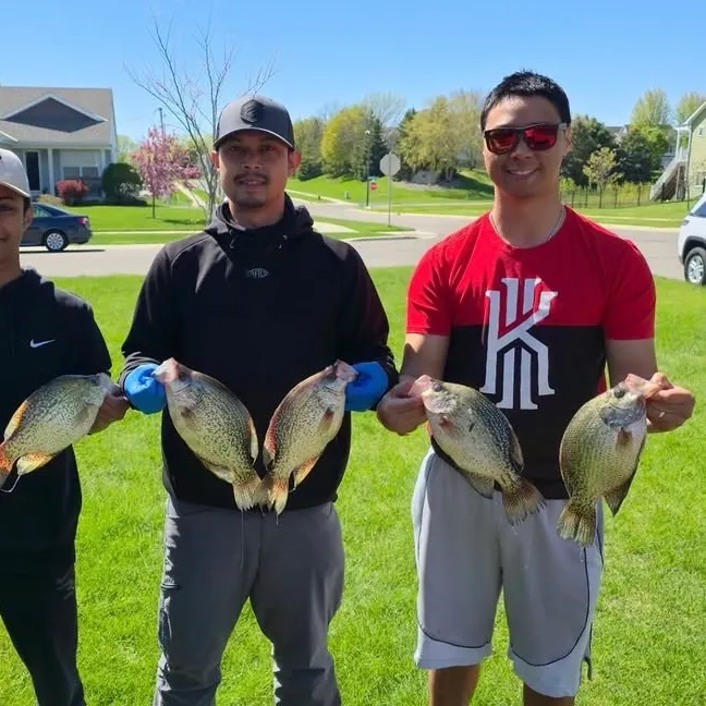 Black crappie caught on Fishbrain