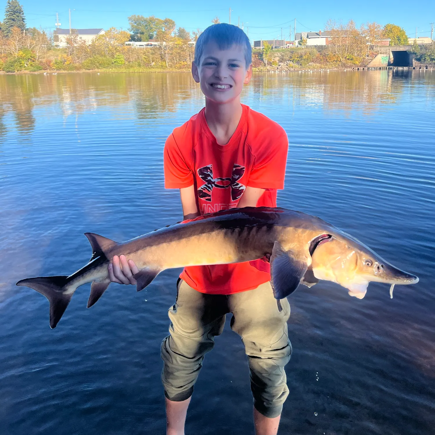 Lake sturgeon caught on Fishbrain