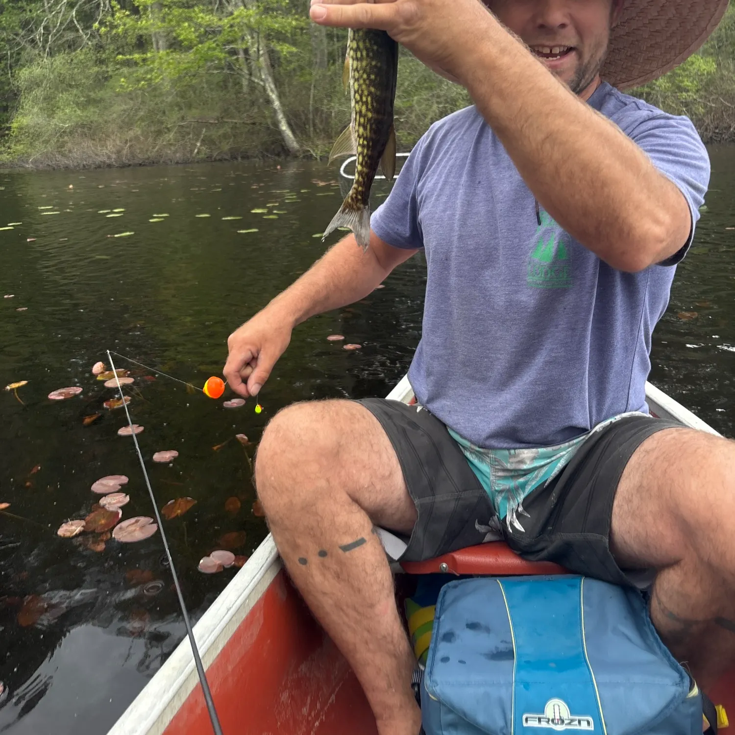 recently logged catches