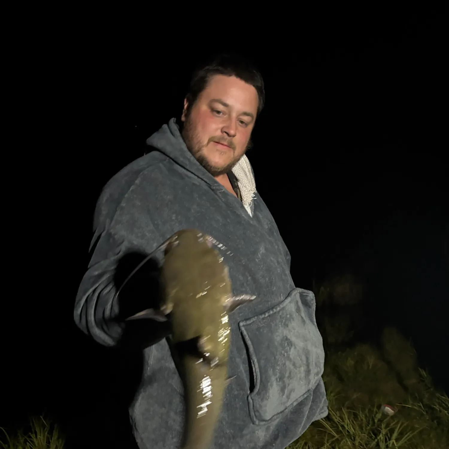 Channel catfish caught on Fishbrain