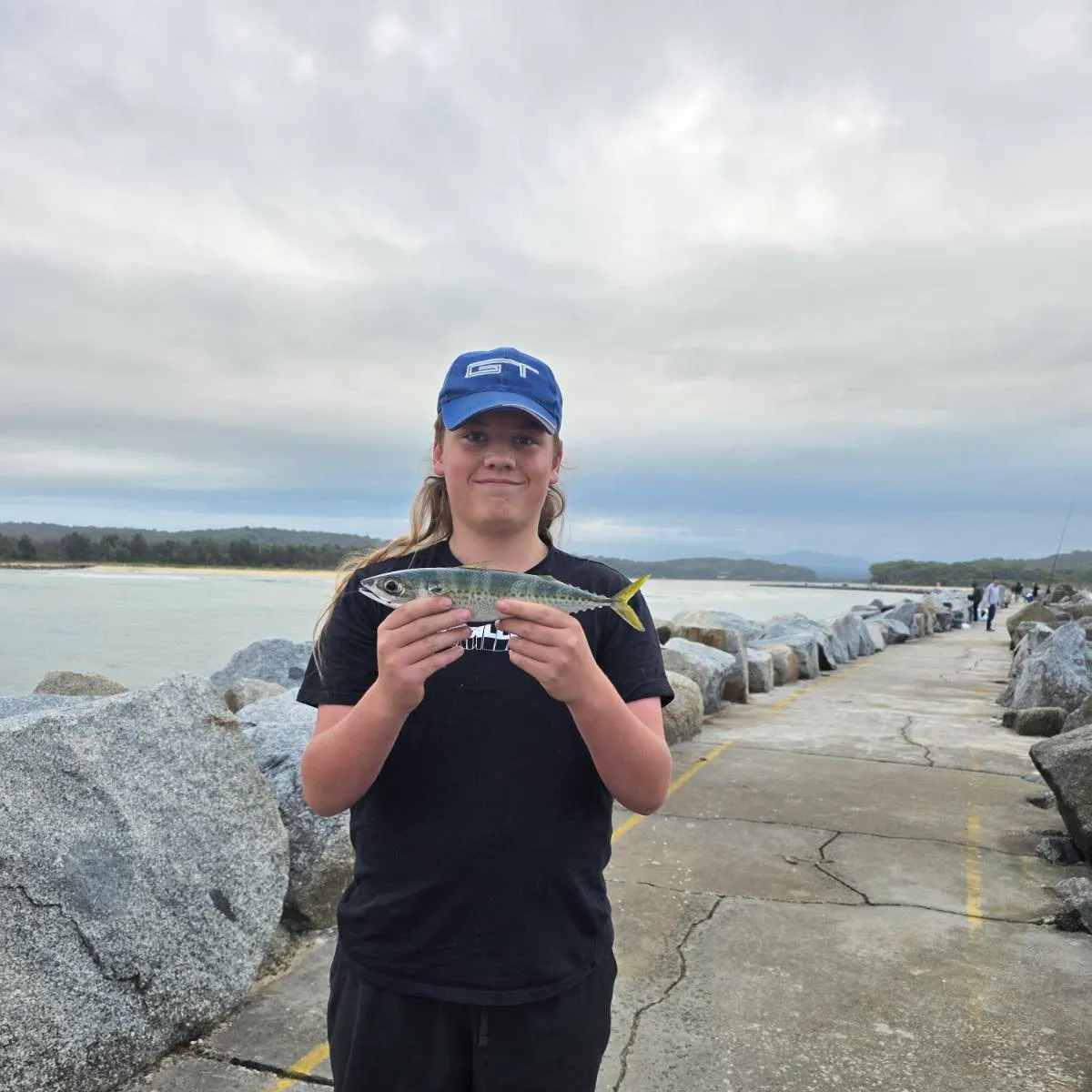 The most recent Blue mackerel catches on Fishbrain