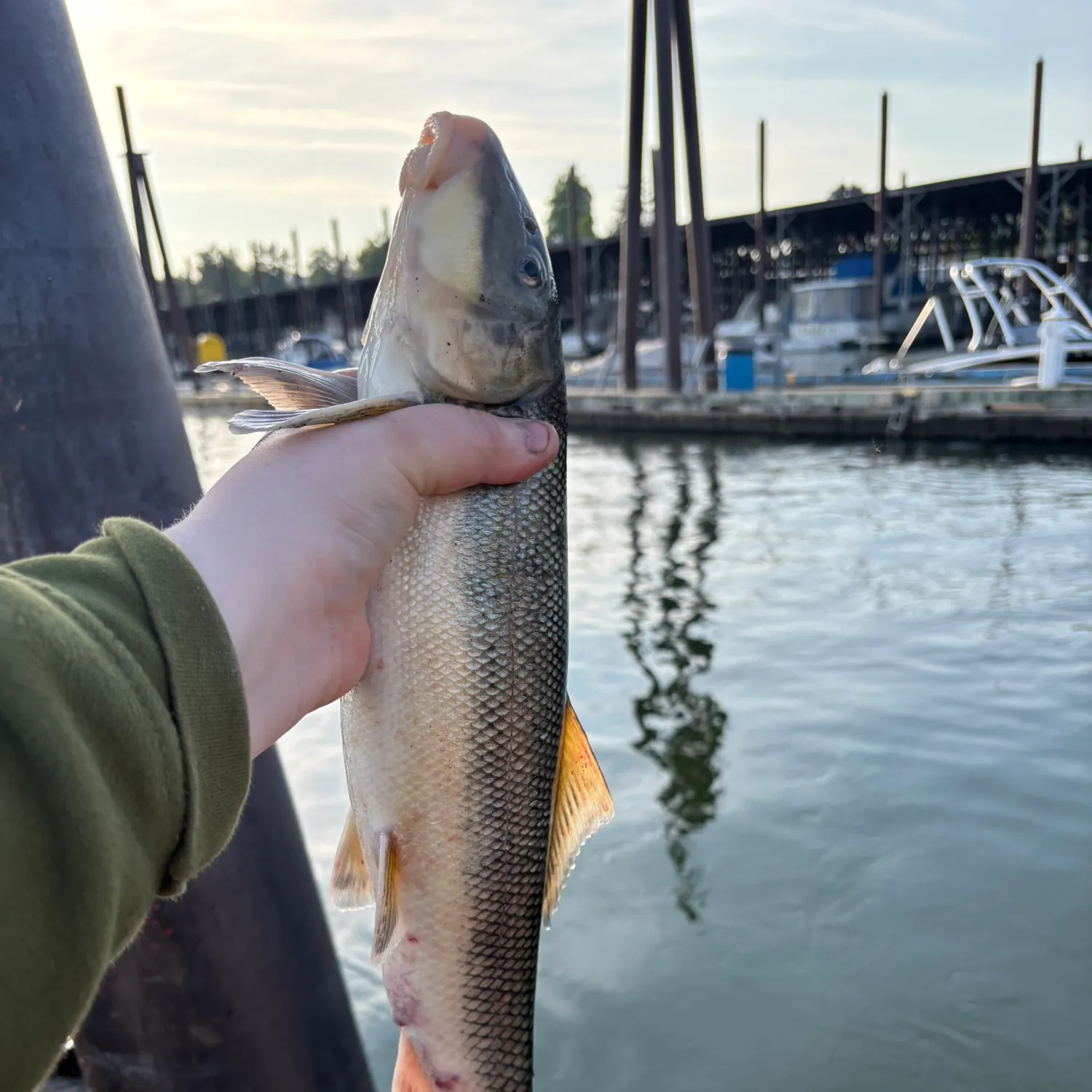 catch