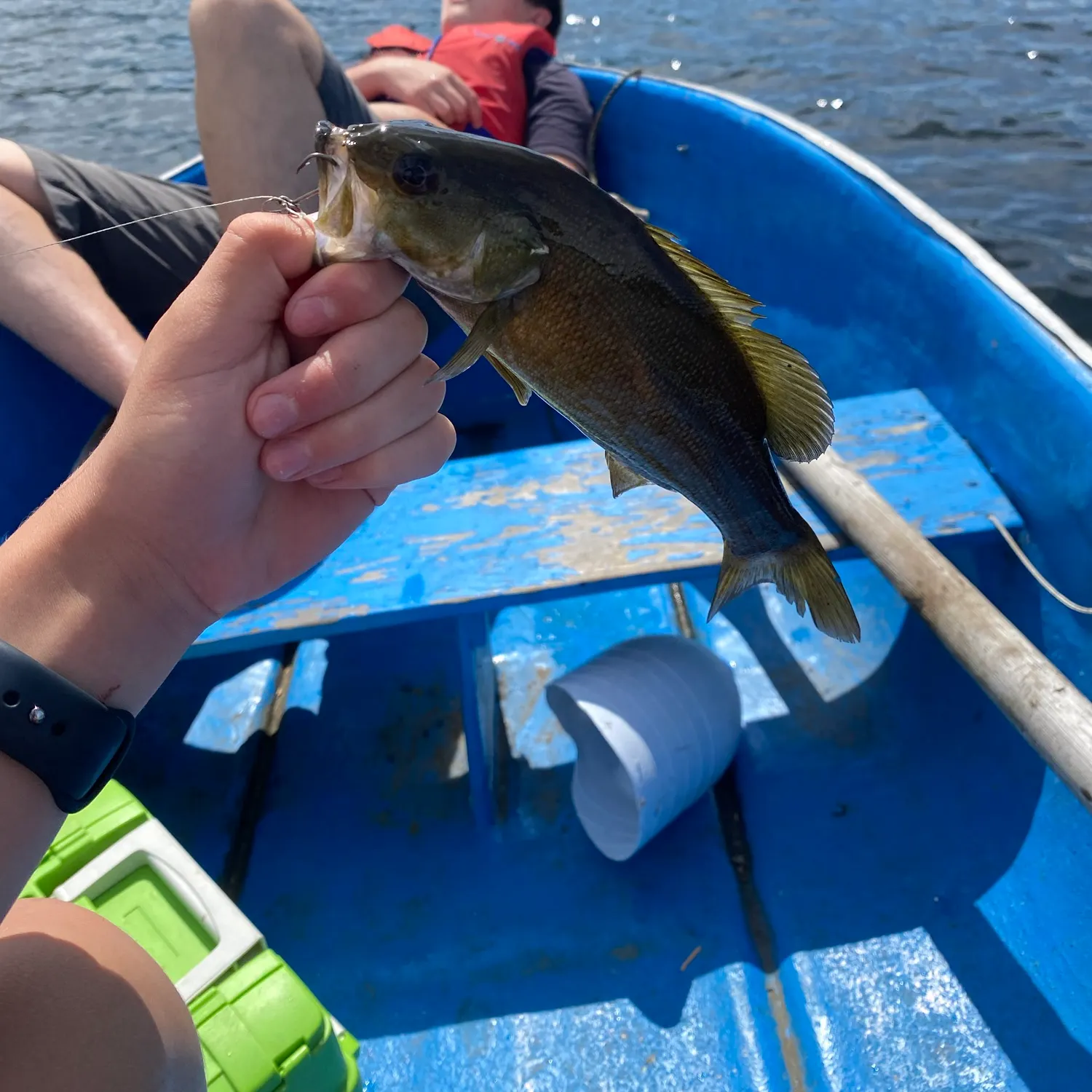 Smallmouth bass caught on Fishbrain