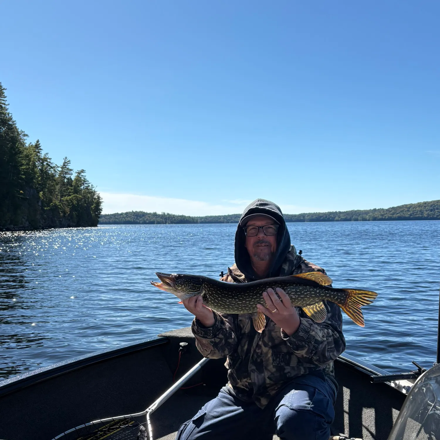 Northern pike caught on Fishbrain