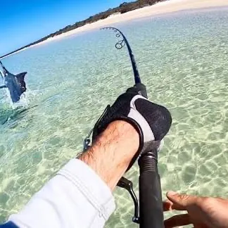 The most recent Atlantic blue marlin catches on Fishbrain