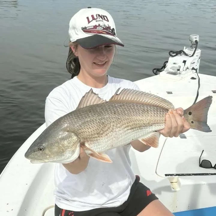 Red drum caught on Fishbrain
