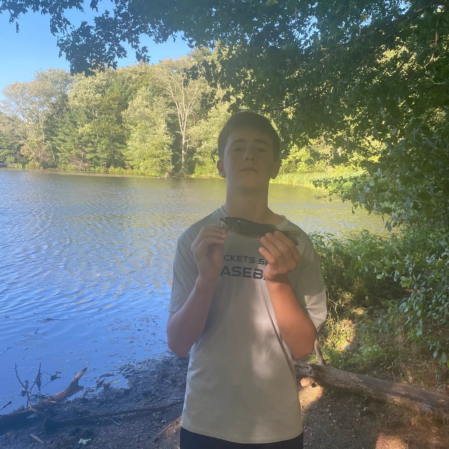 Fish caught on Fishbrain