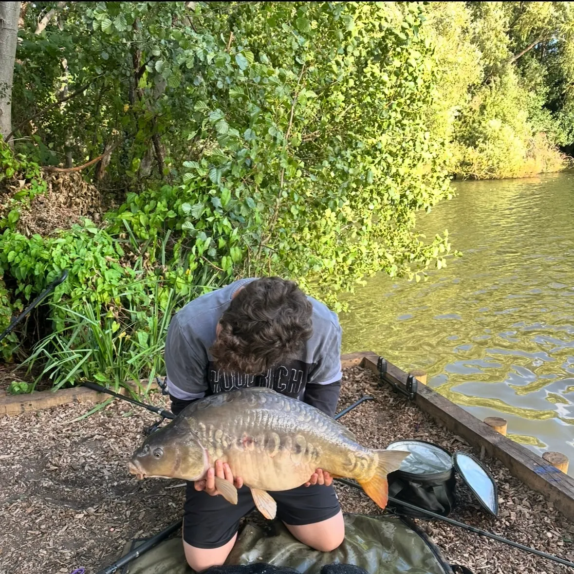 Mirror carp caught on Fishbrain