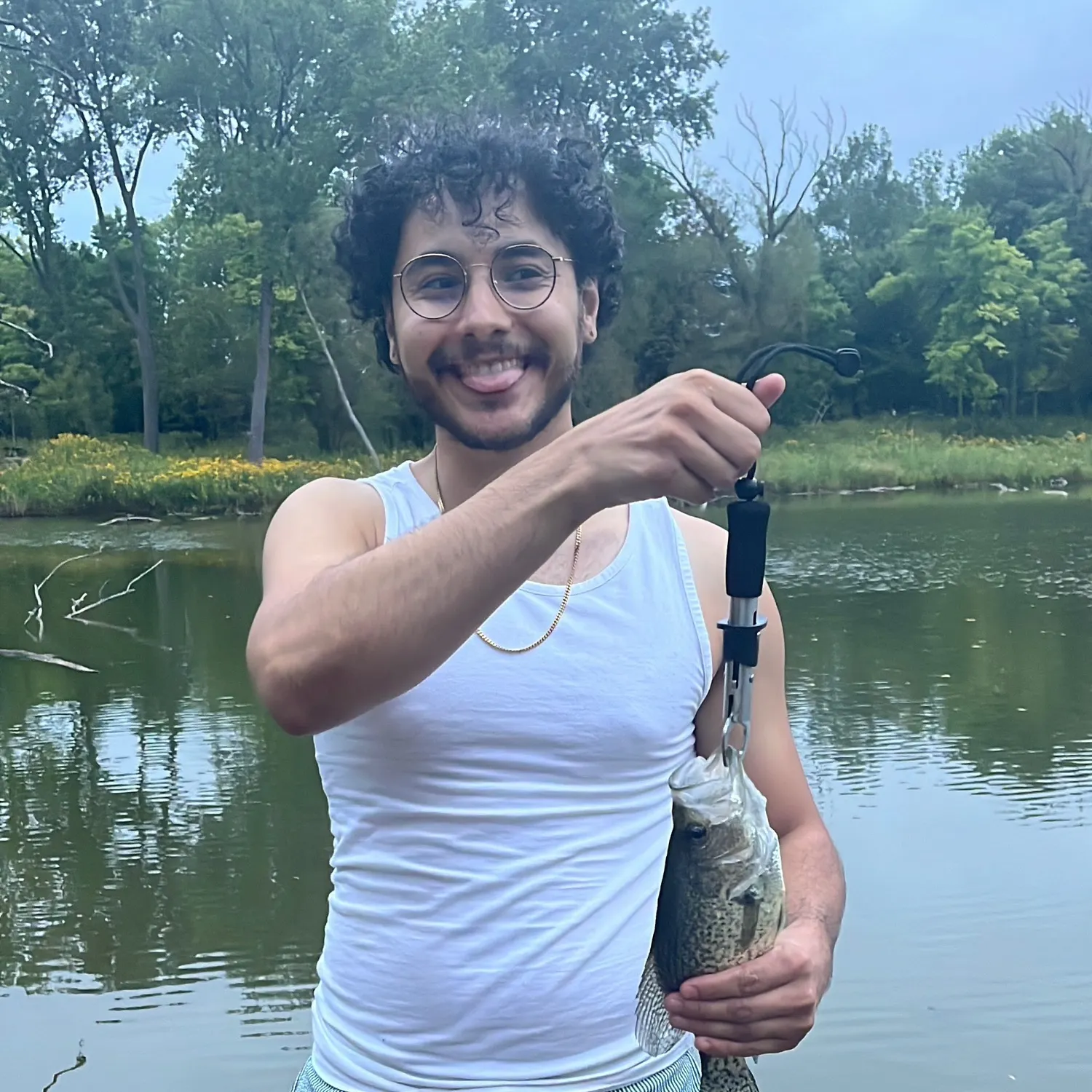 Black crappie caught on Fishbrain