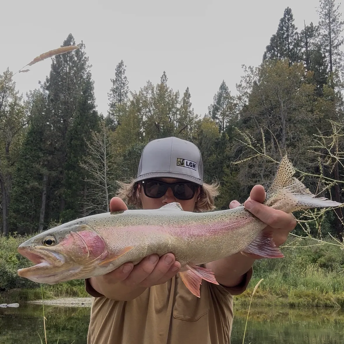 Rainbow trout caught on Fishbrain
