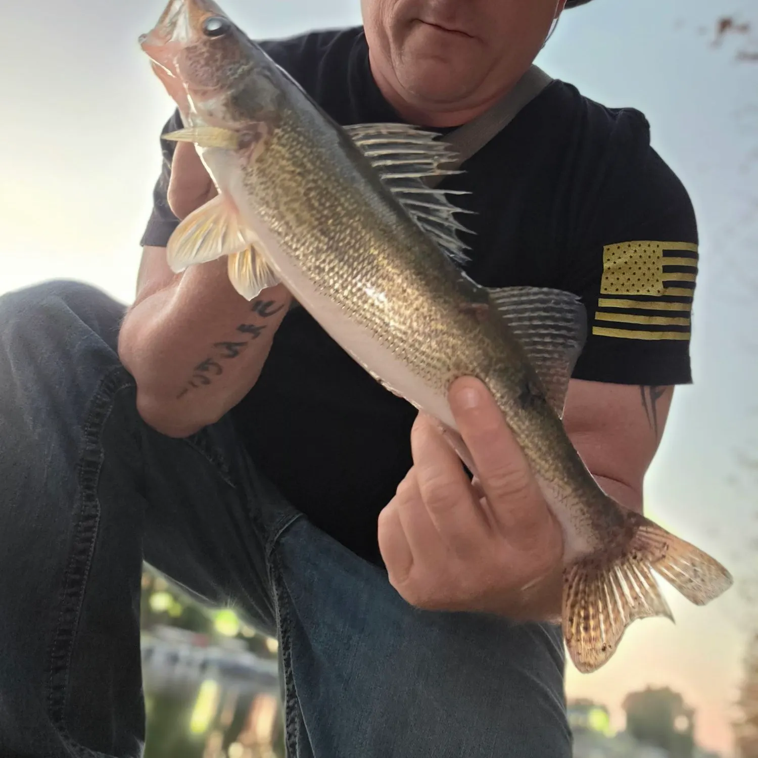 Saugeye caught on Fishbrain