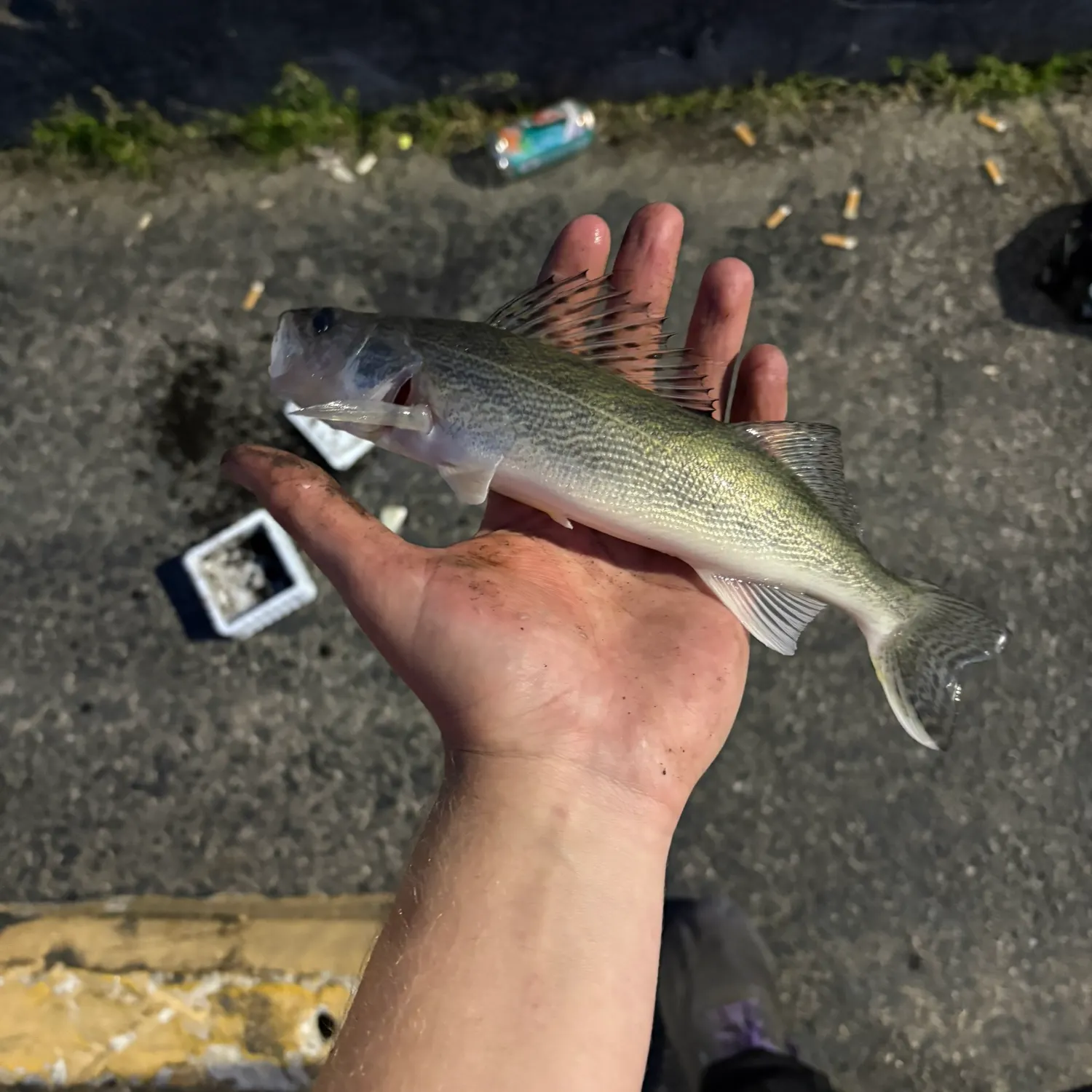 catch