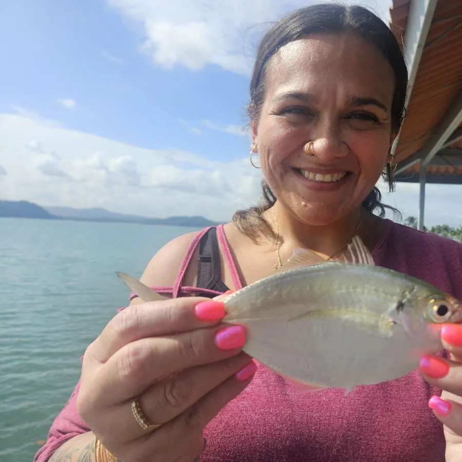 The most recent Atlantic bumper catches on Fishbrain