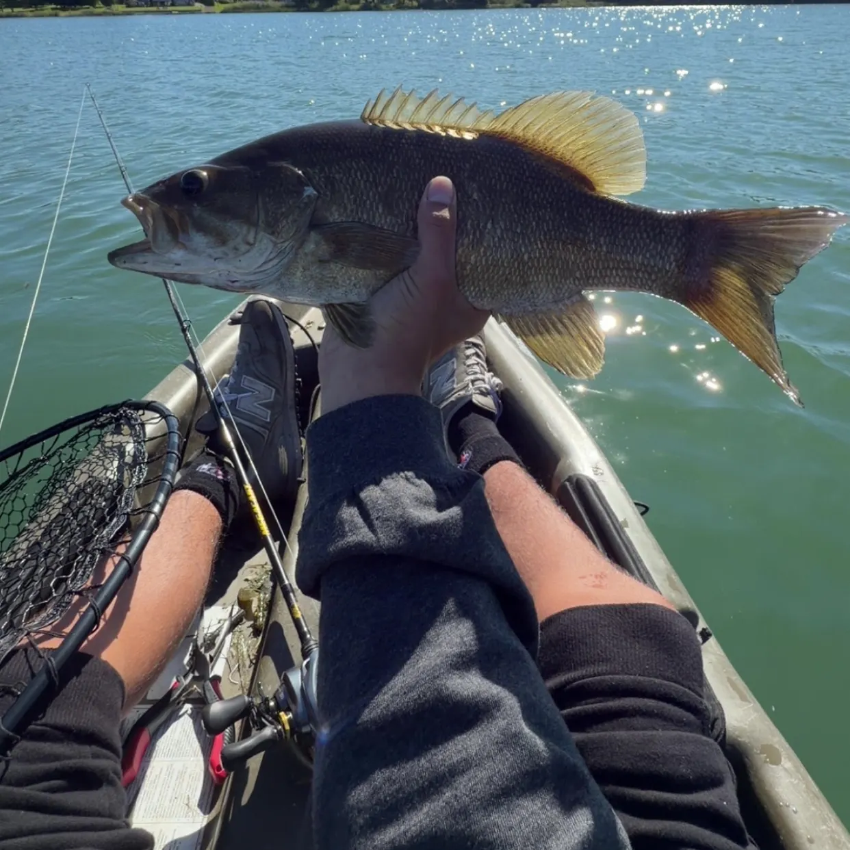 Smallmouth bass caught on Fishbrain