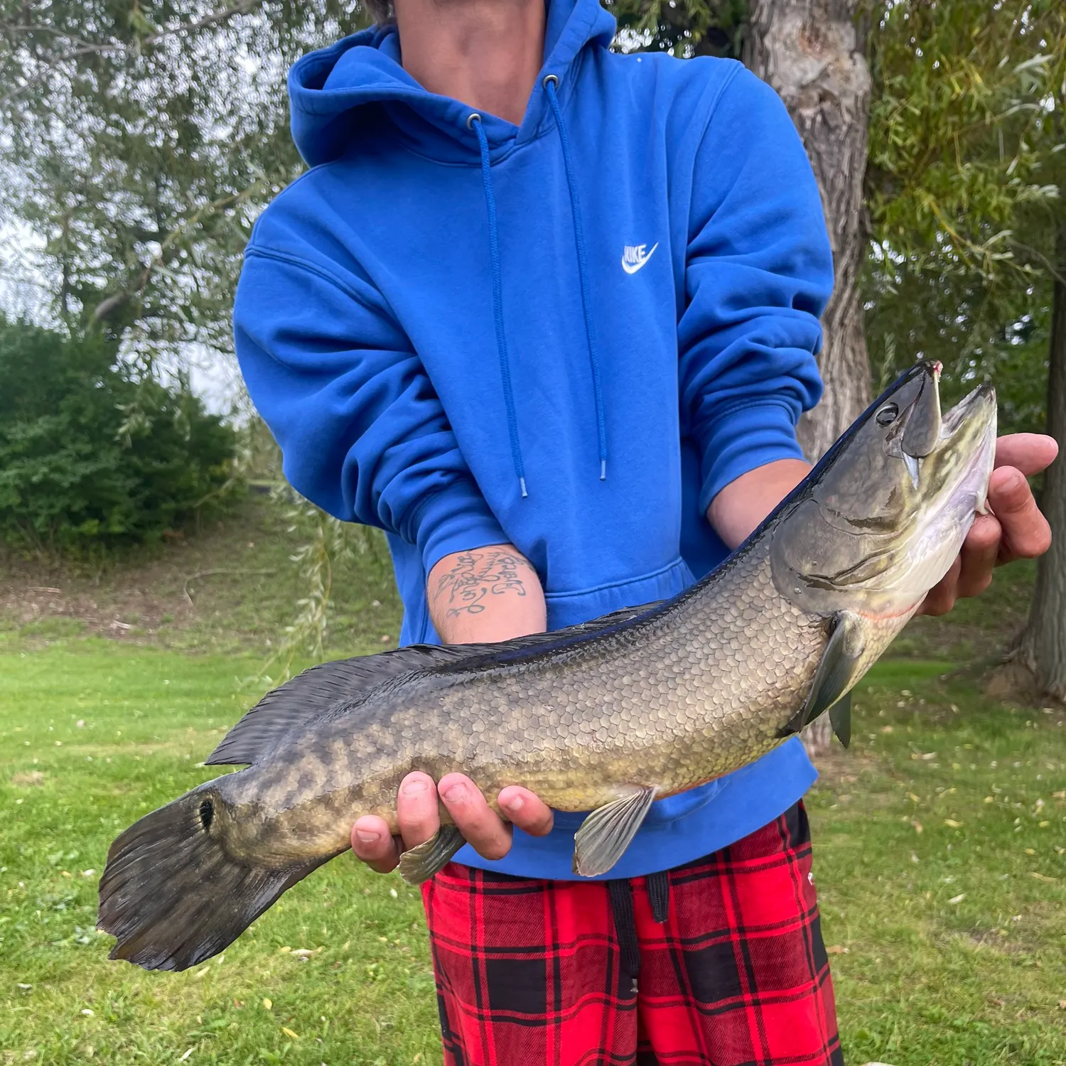 Eyetail bowfin caught on Fishbrain