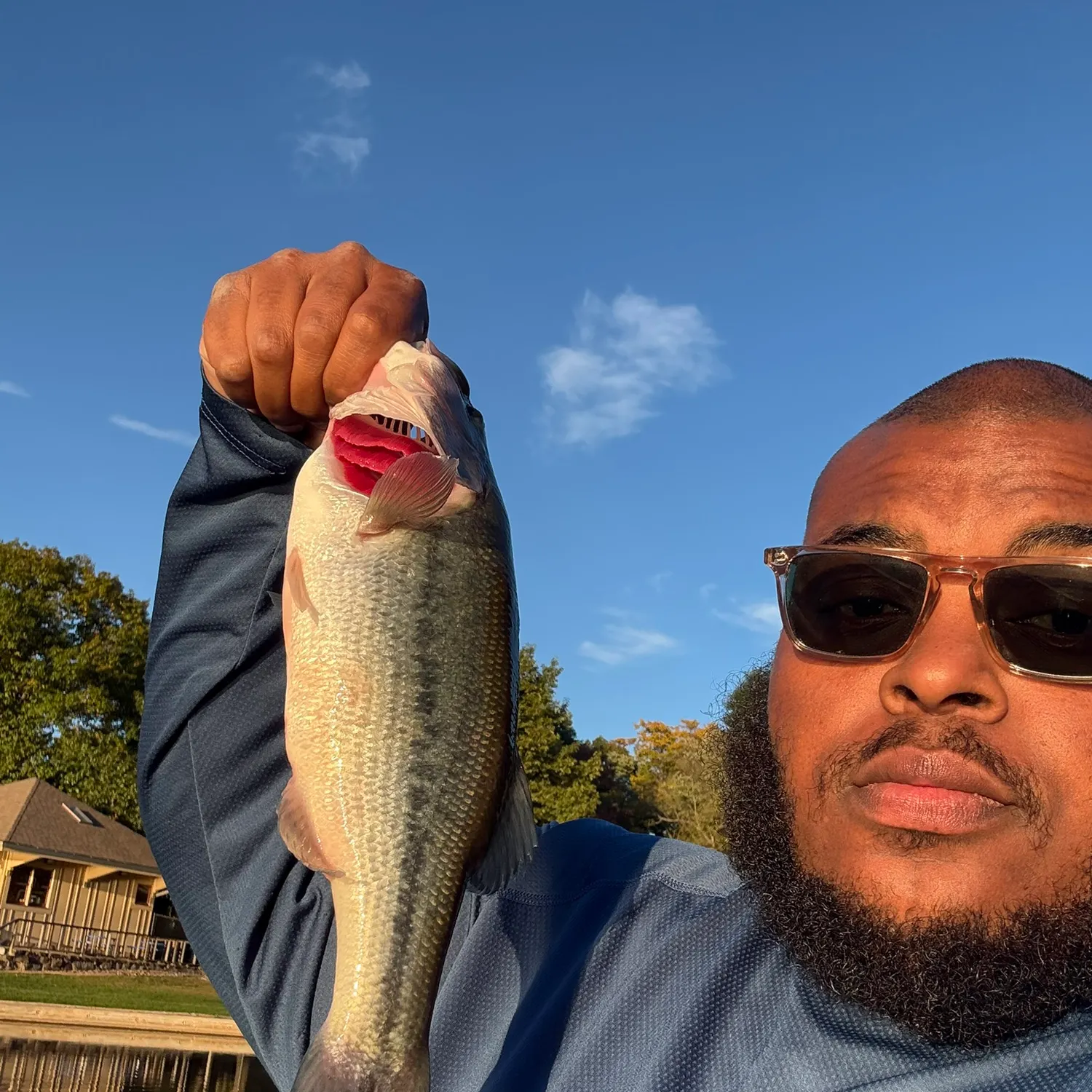 Largemouth bass caught on Fishbrain