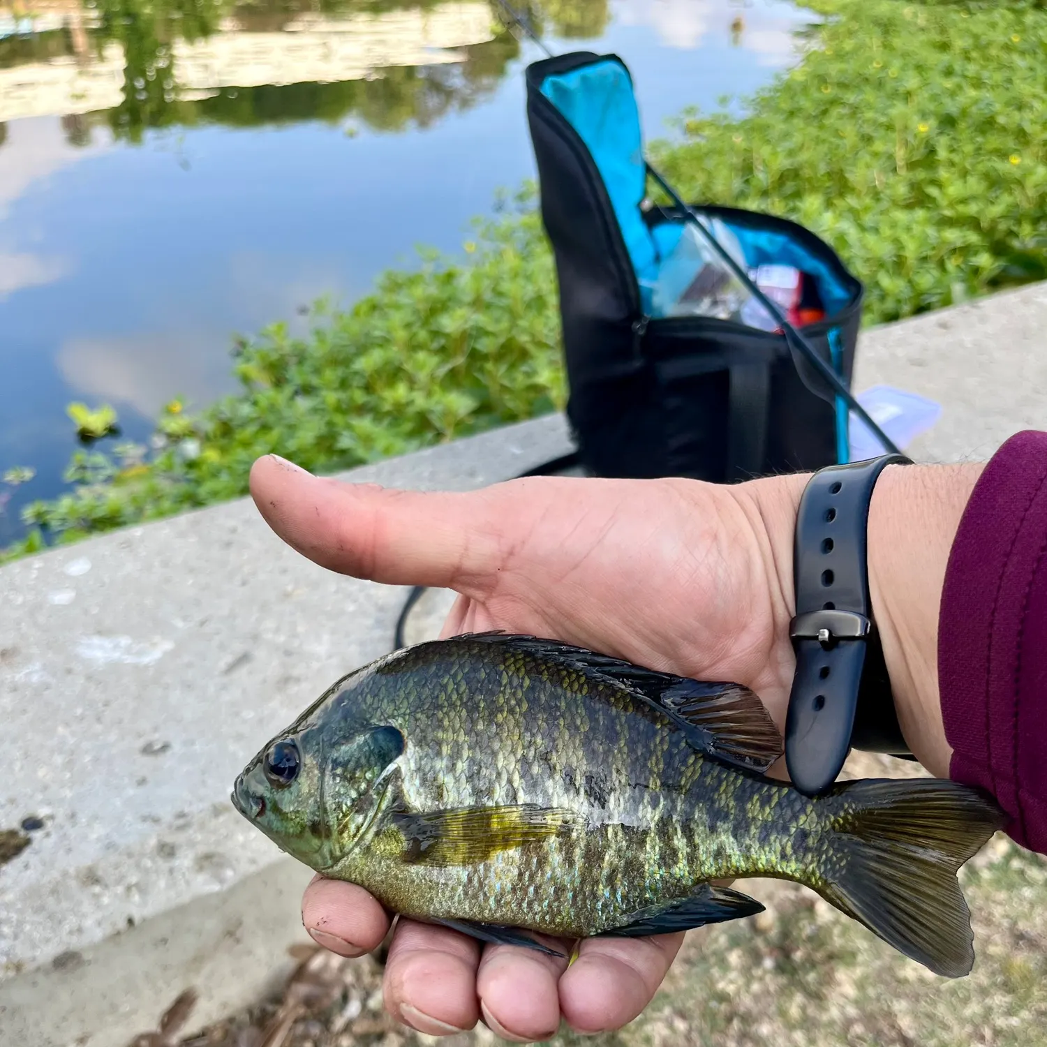catch