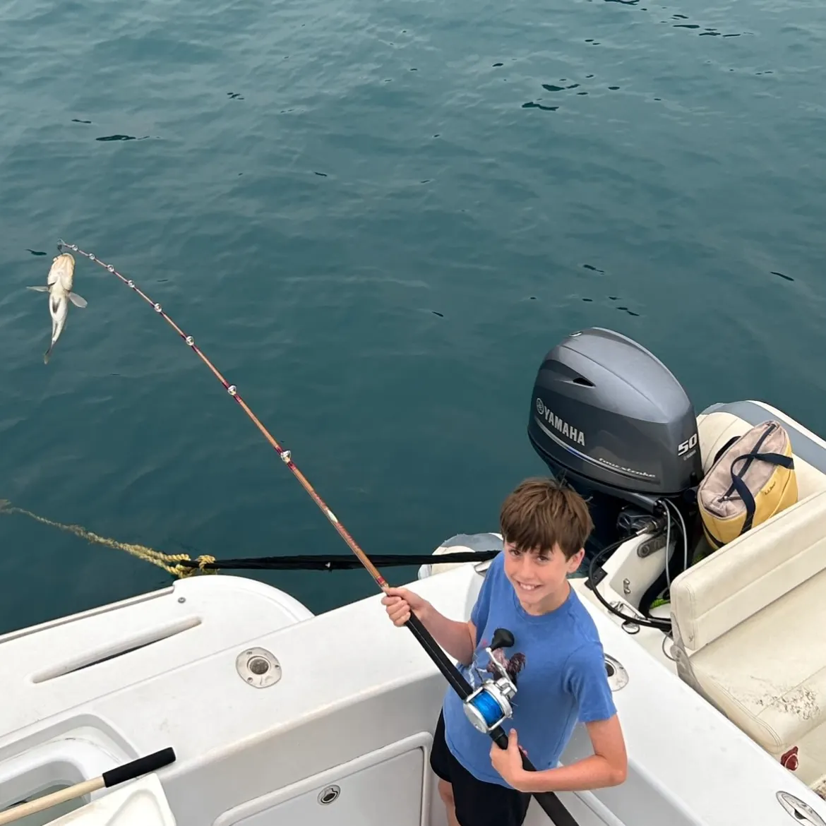 Kelp bass caught on Fishbrain