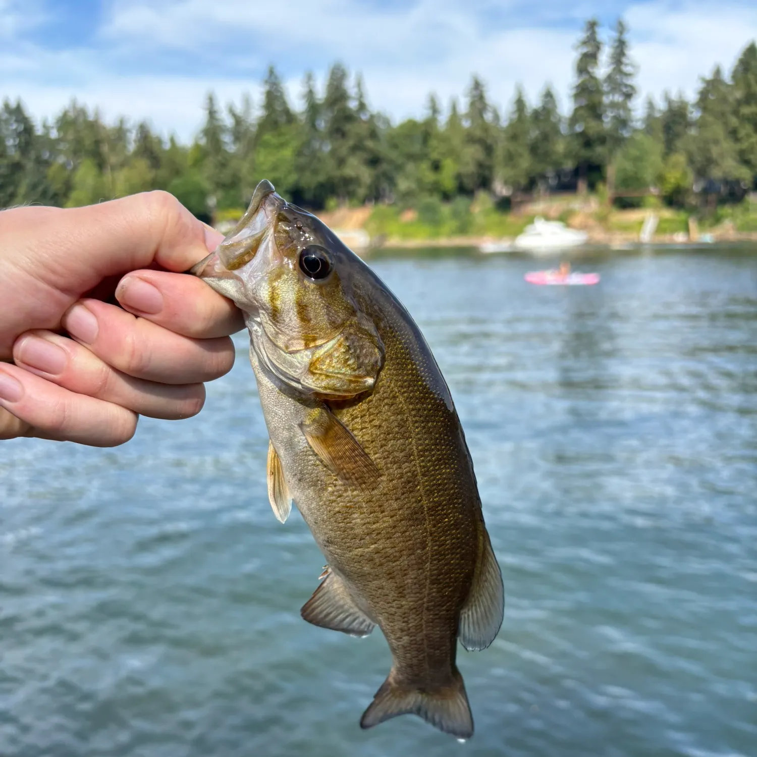 catch