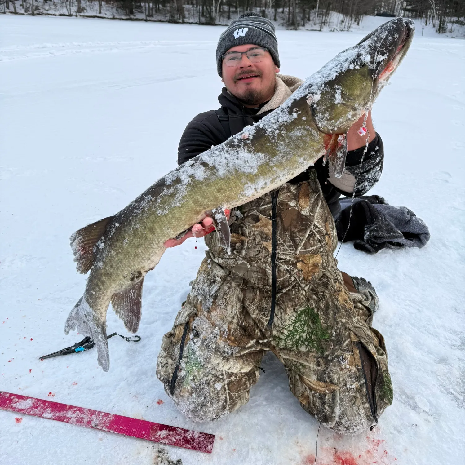 The most recent Muskellunge catches on Fishbrain