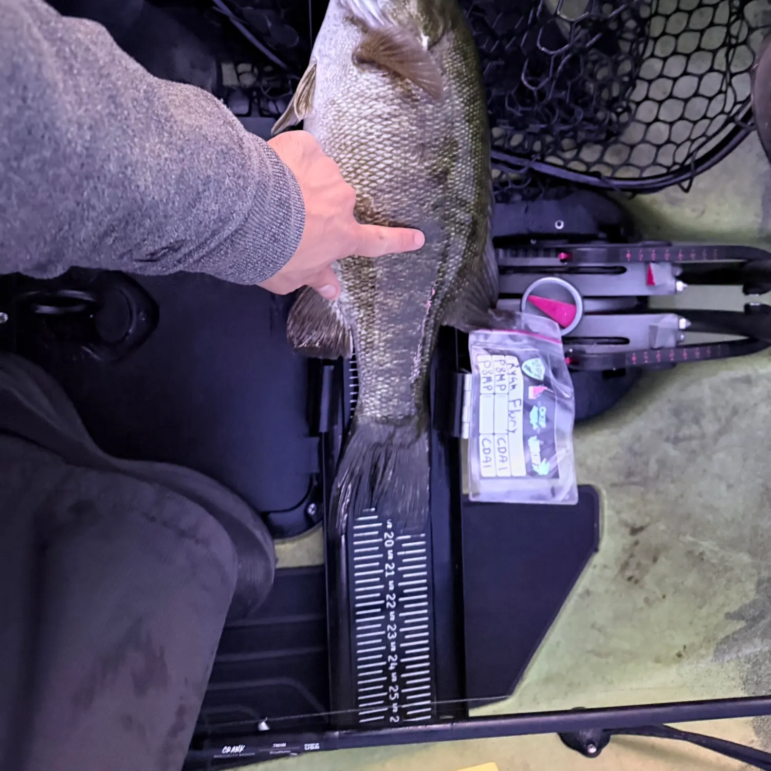 recently logged catches