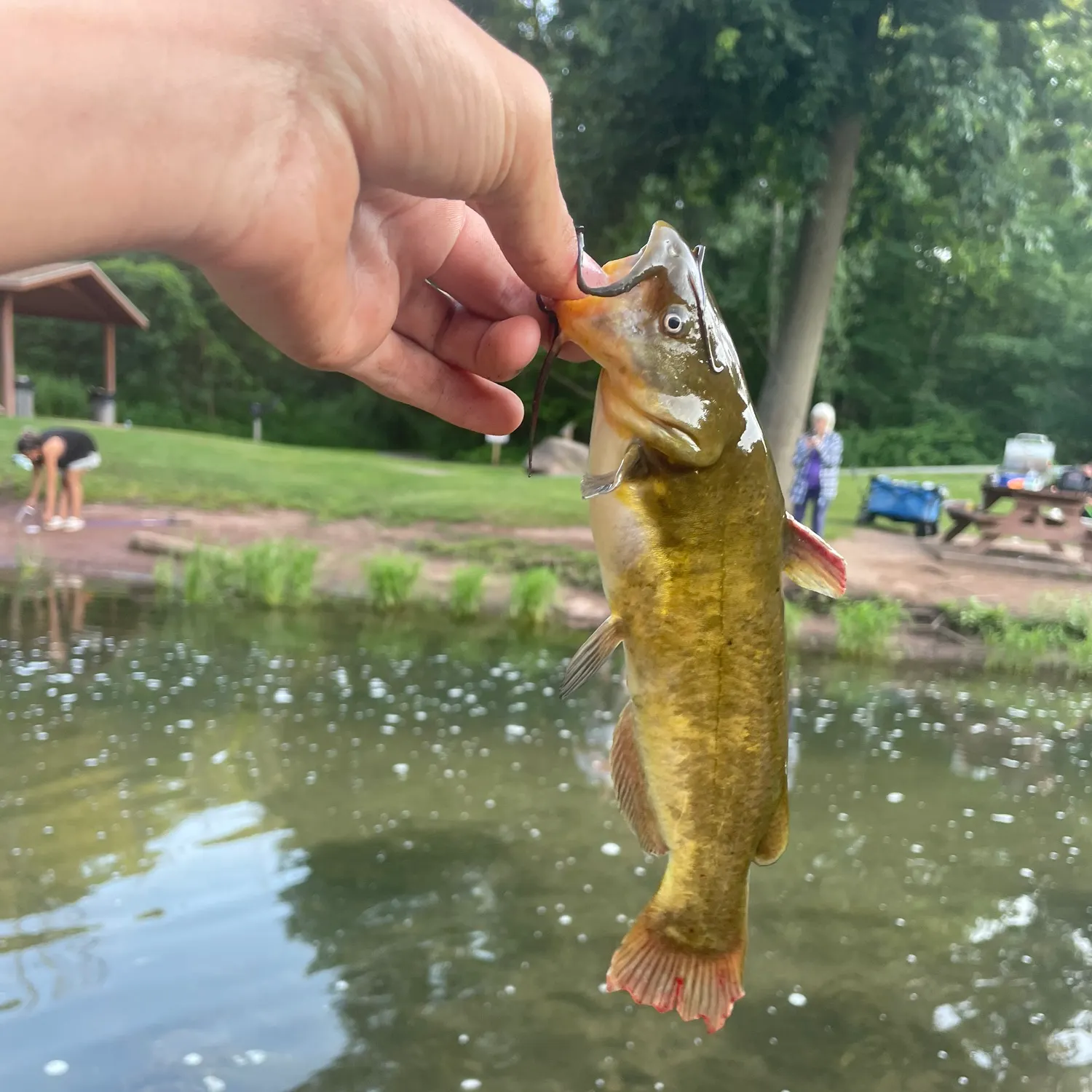 catch