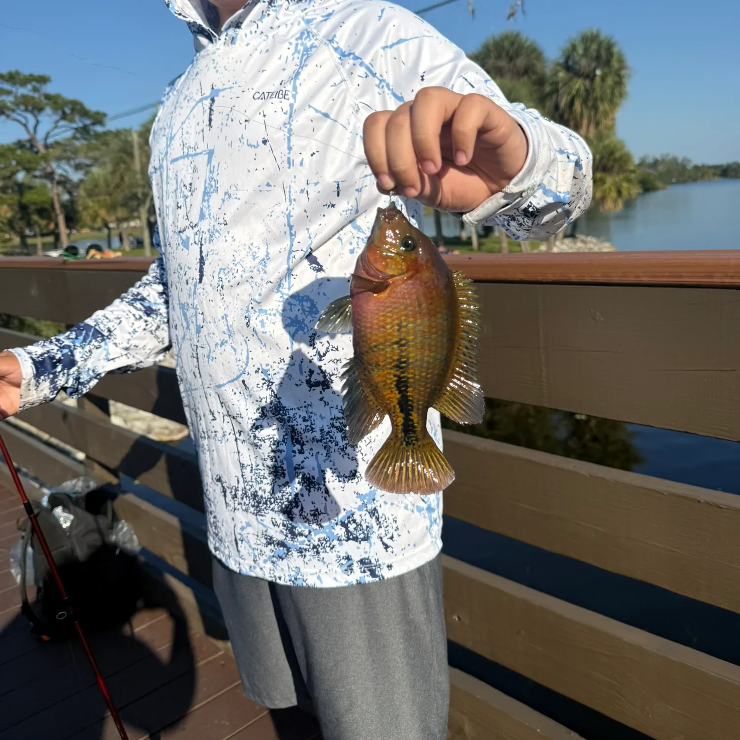 The most recent Mayan cichlid catches on Fishbrain